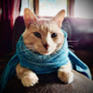 Meet your Posher, Ana